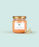 VELA CITRUS